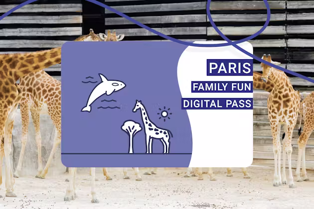 Paris Family Fun Pass